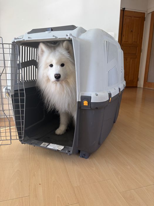 Transportadora Skudo Tamanho 7 – 105×73×76 cm – até 45 kg