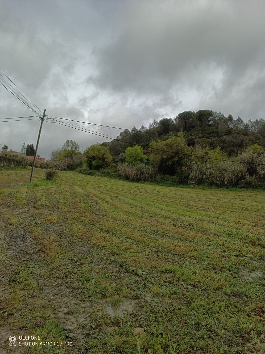 Limpeza de terrenos e quintais