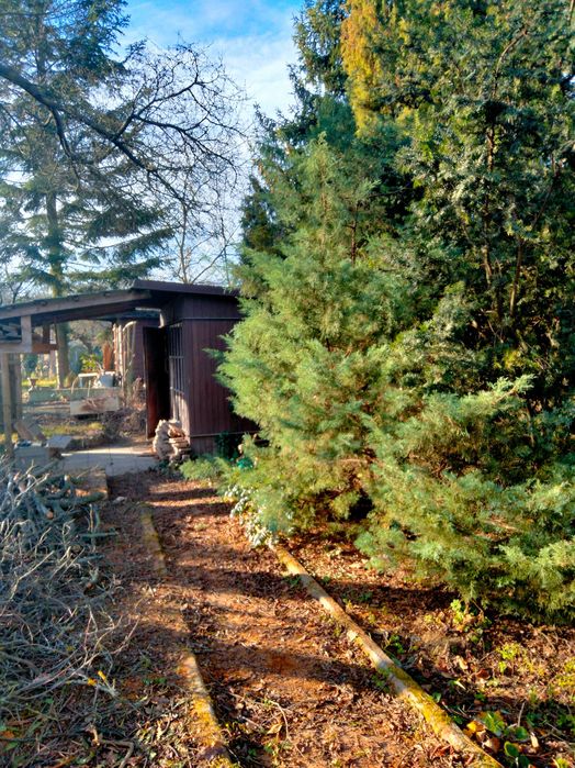 Sprzedam Działkę ROD Siekierki Warszawa