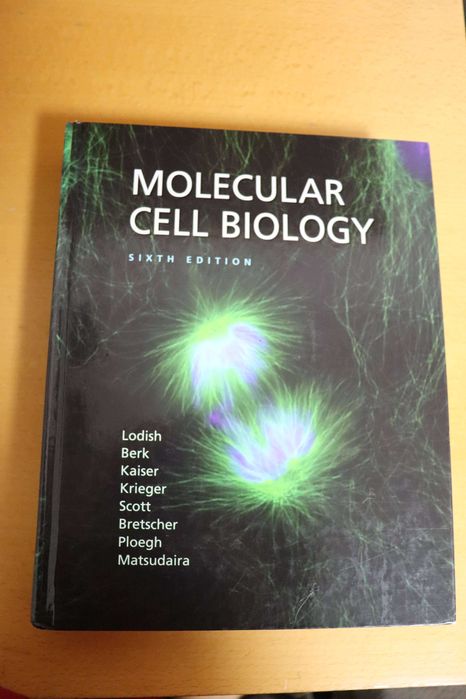 Molecular Cell Biology - Como Novo!