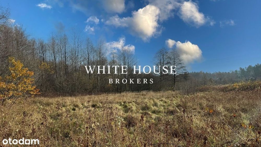 Działka budowlana, 2311m2, dobra cena,