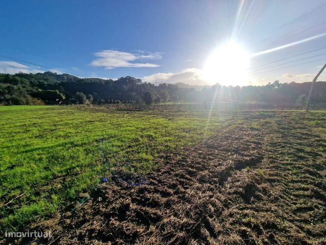 Fantástico terreno agrícola