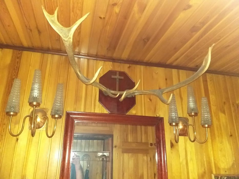 Poroże do powieszenia