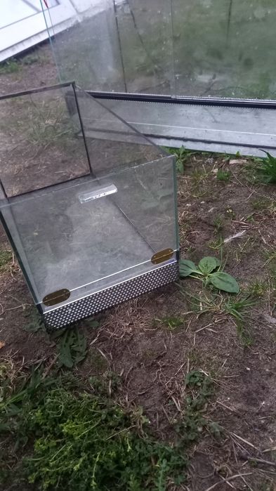 Terrarium dla jaszczurki gryzonia pająka węża chomika myszki