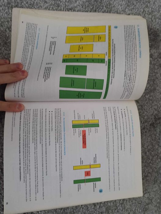 O controlo de gestão em schëmacolor –Gilbert Pillot [portes incluídos]