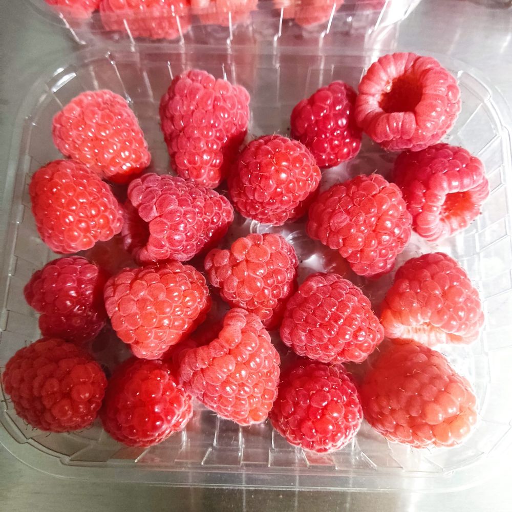 Framboesa fresca fruta