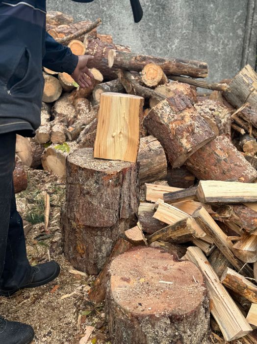 Дрова з доставкою Дуб Сосна Береза Ясень Акація Граб