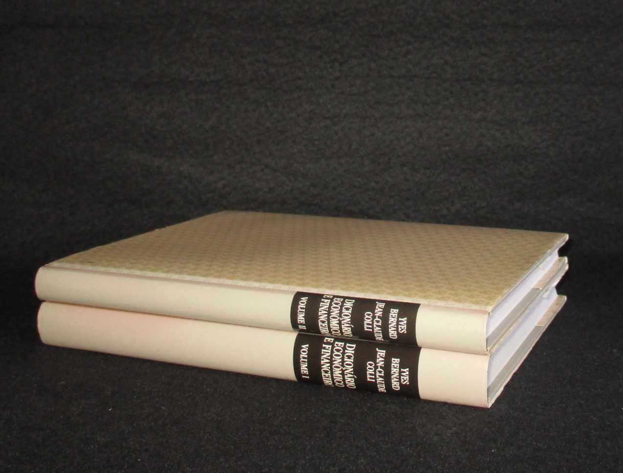 Livro Dicionário Económico e Financeiro Yves Bernard Jean-Claude Colli