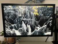 Monitor Dell 2407WFPb 24” 1920×1200