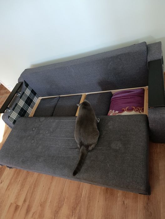 Диван соло книжка