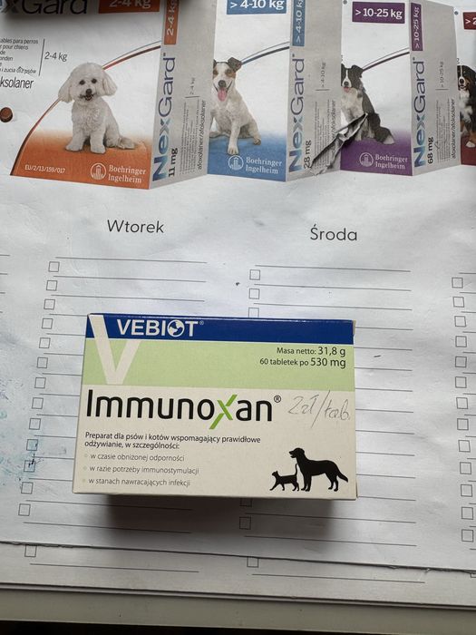 Immunoxan 60 tabletek w opakowaniu