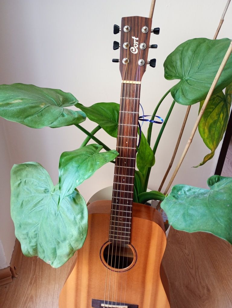 Gitara akustyczna Cort Earth Mini OP
