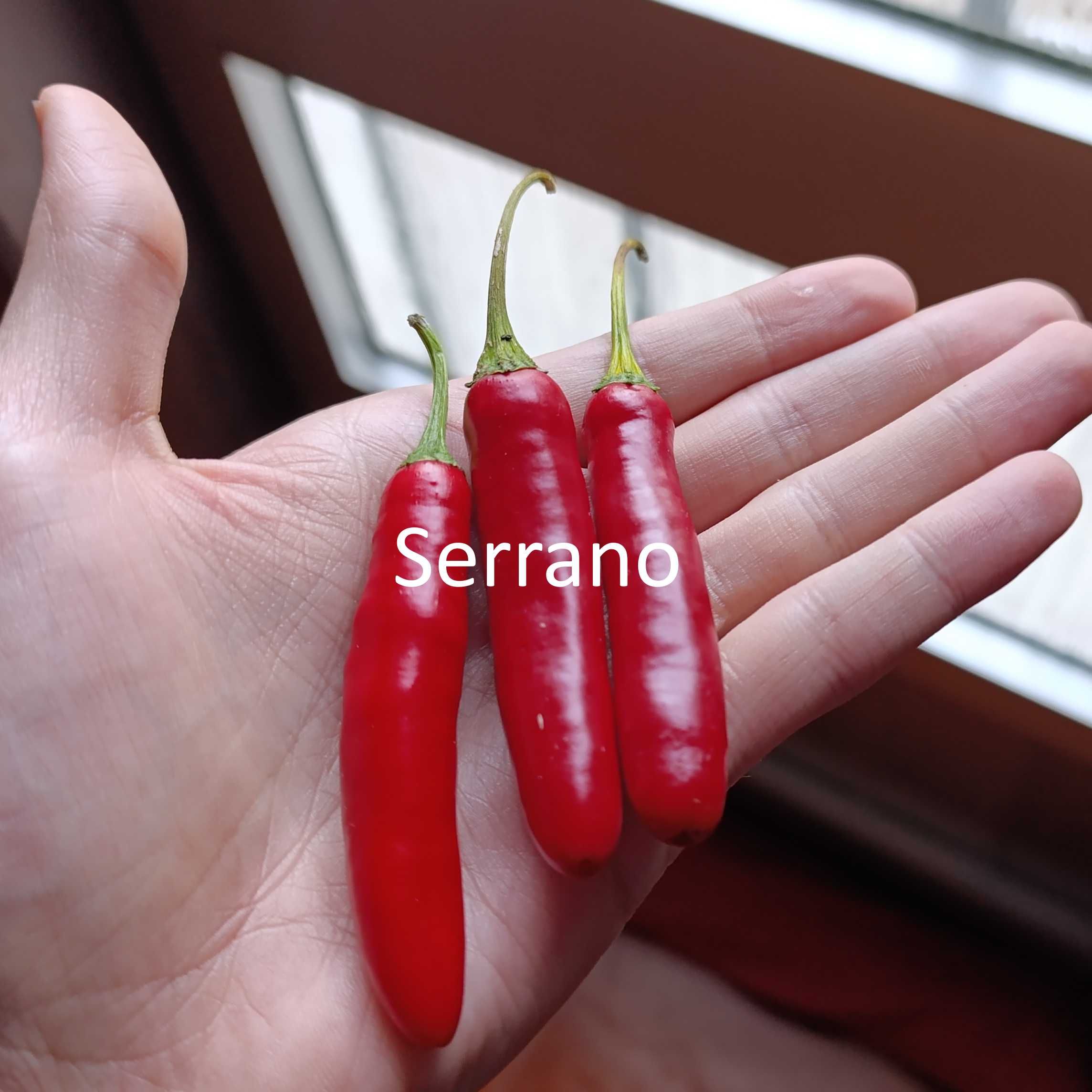 Sementes Pimentas