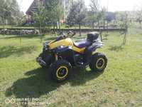 Can-Am Renegade Can am renegade 1000R XXC