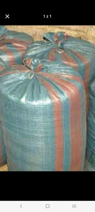 pszenzyto tego roczne 50kg