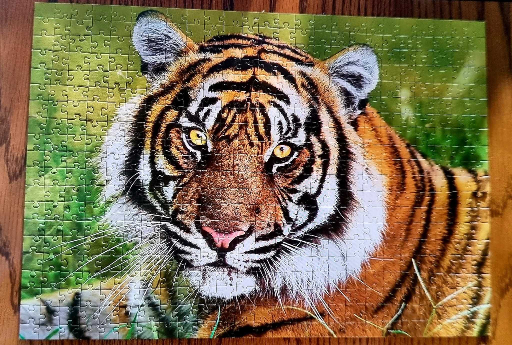 Puzzle Trefl Tygrys