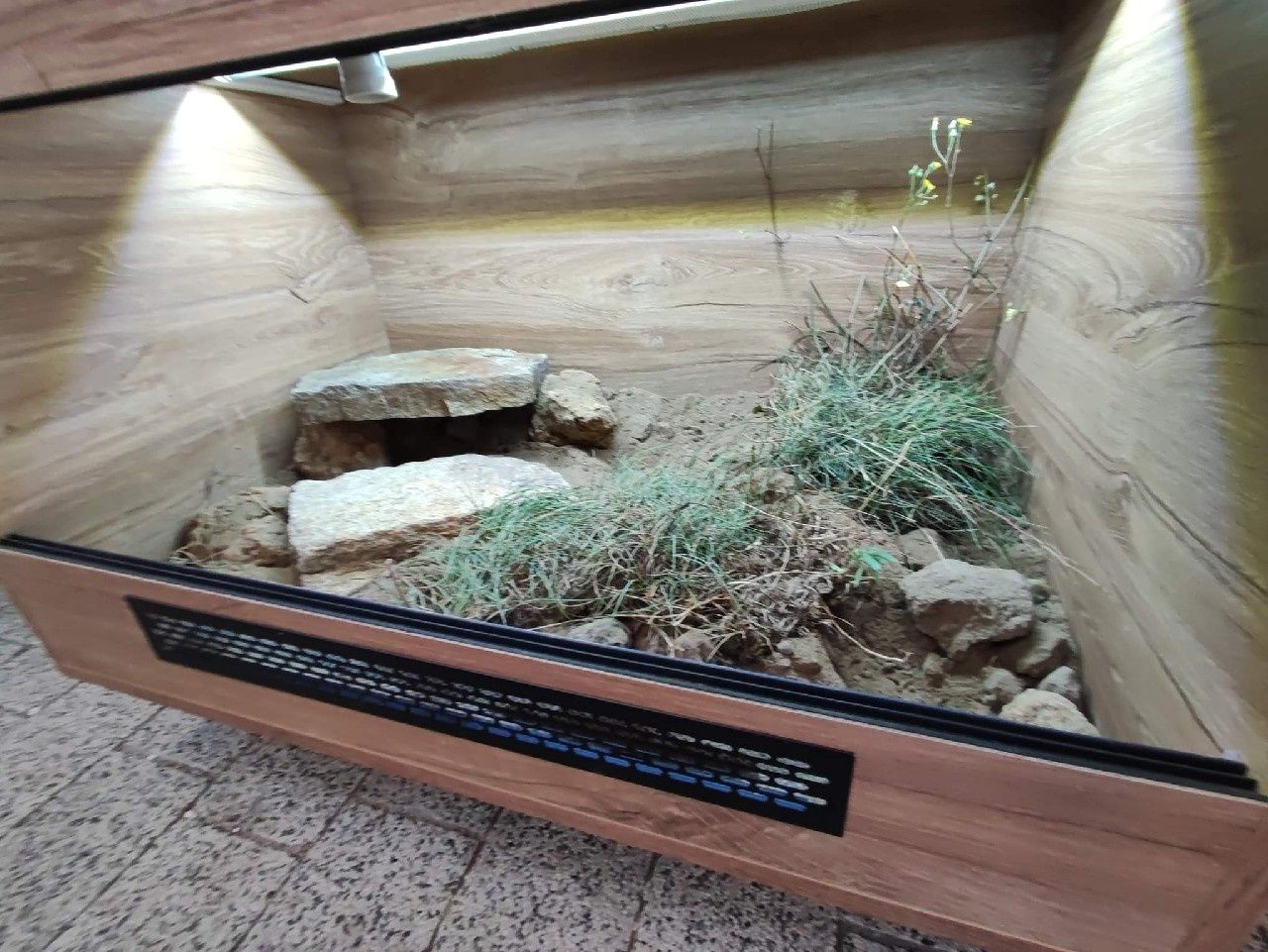 Terrarium 80x50x50 dla żółwia PETMARKET