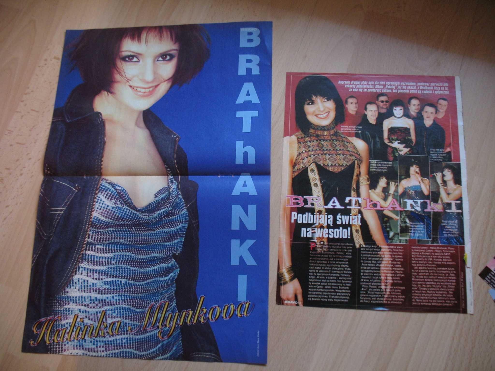 Brathanki Halina Mlynkova wycinki plakat
