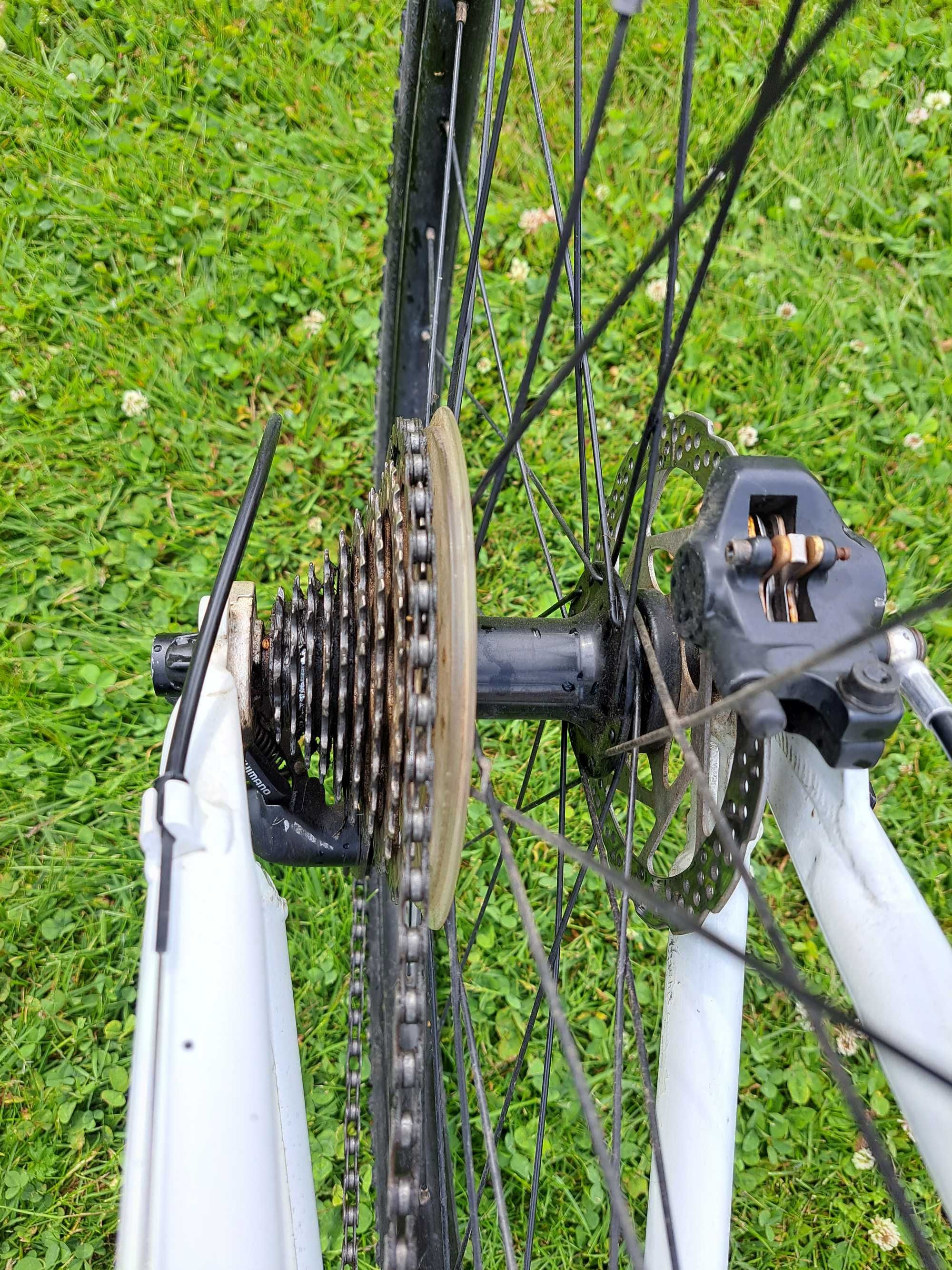 giant terrago w xc widelec manitou minute damski