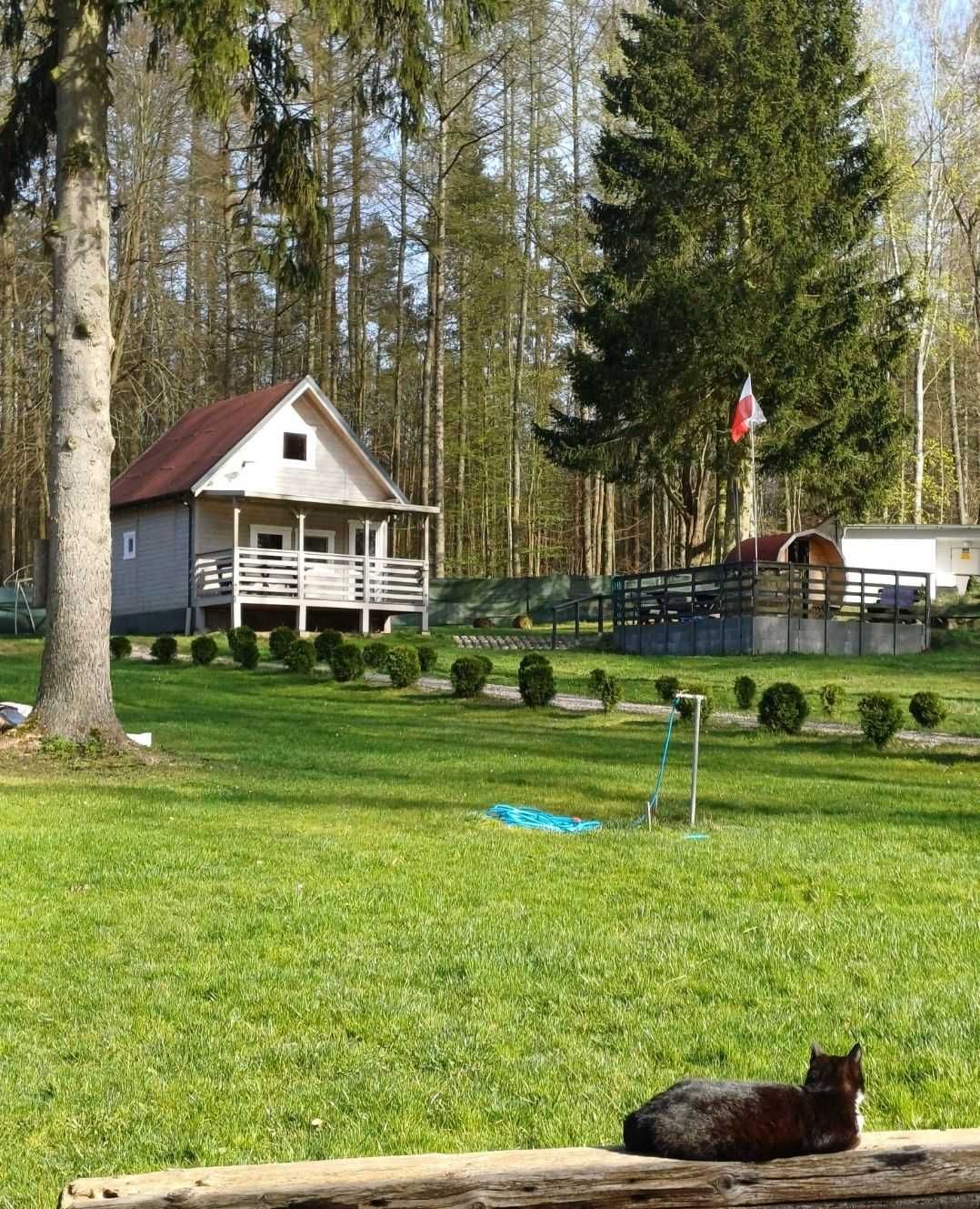 Domki nad jeziorem  Liksajny -cena os .camper/imprezy/namioty