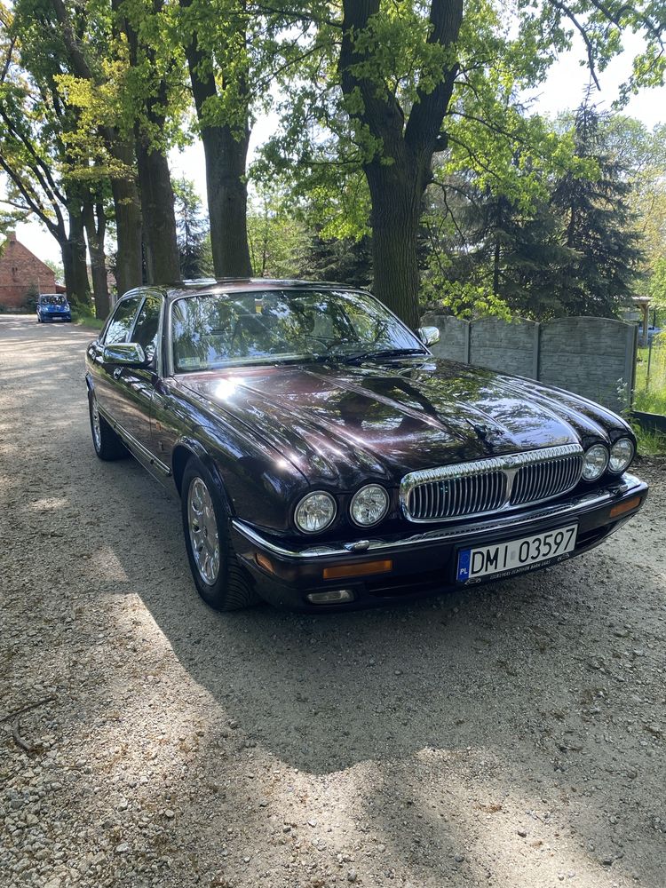 Jaguar Daimler Century 1996 1/100