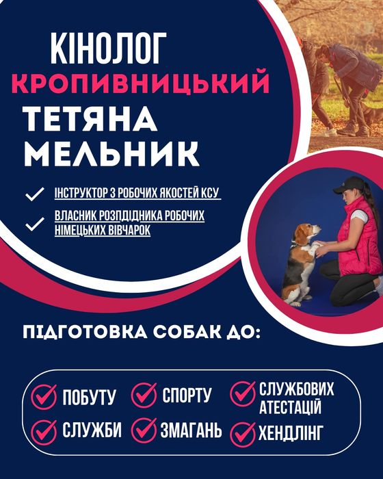 Ліцензований кінолог. Кропивницький