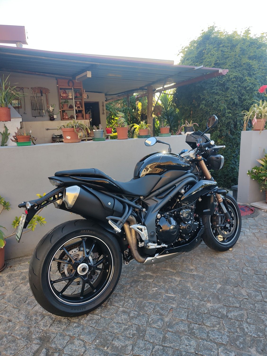Triumph Speed Triple 1050 94