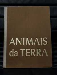 Livro - Animais da Terra - Ano 1974 - Bom estado