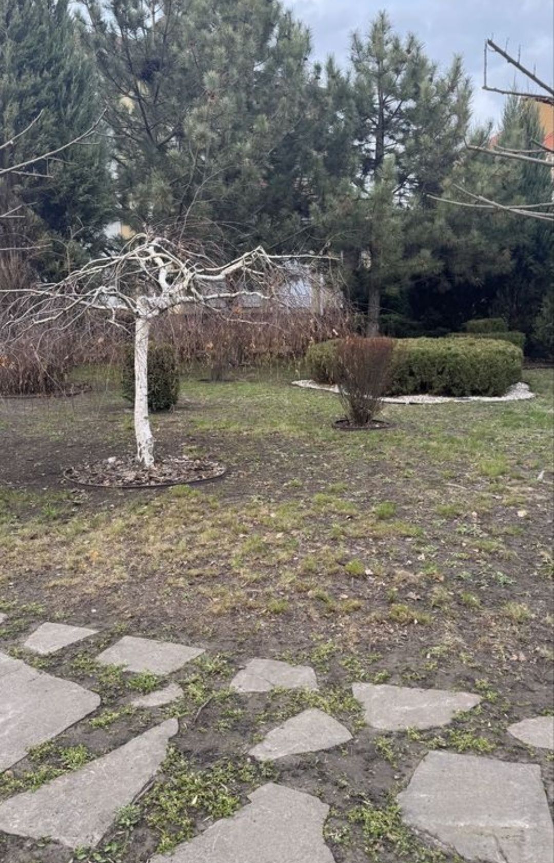 Сдам дом Бородинский р-н