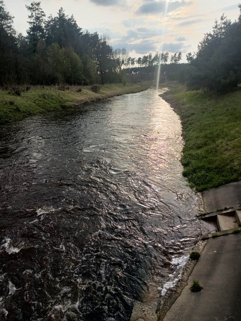 Zaciszne miejsce w dolinie rzeki czarnej, u podnóża Diablej Góry.