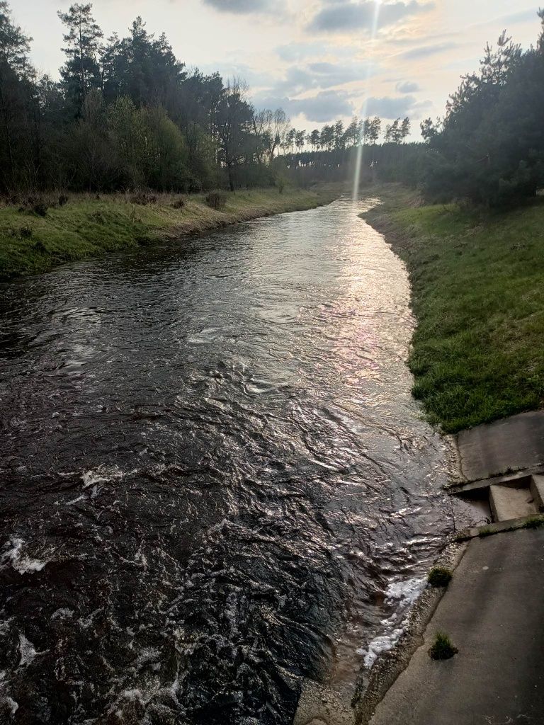 Zaciszne miejsce w dolinie rzeki czarnej, u podnóża Diablej Góry.