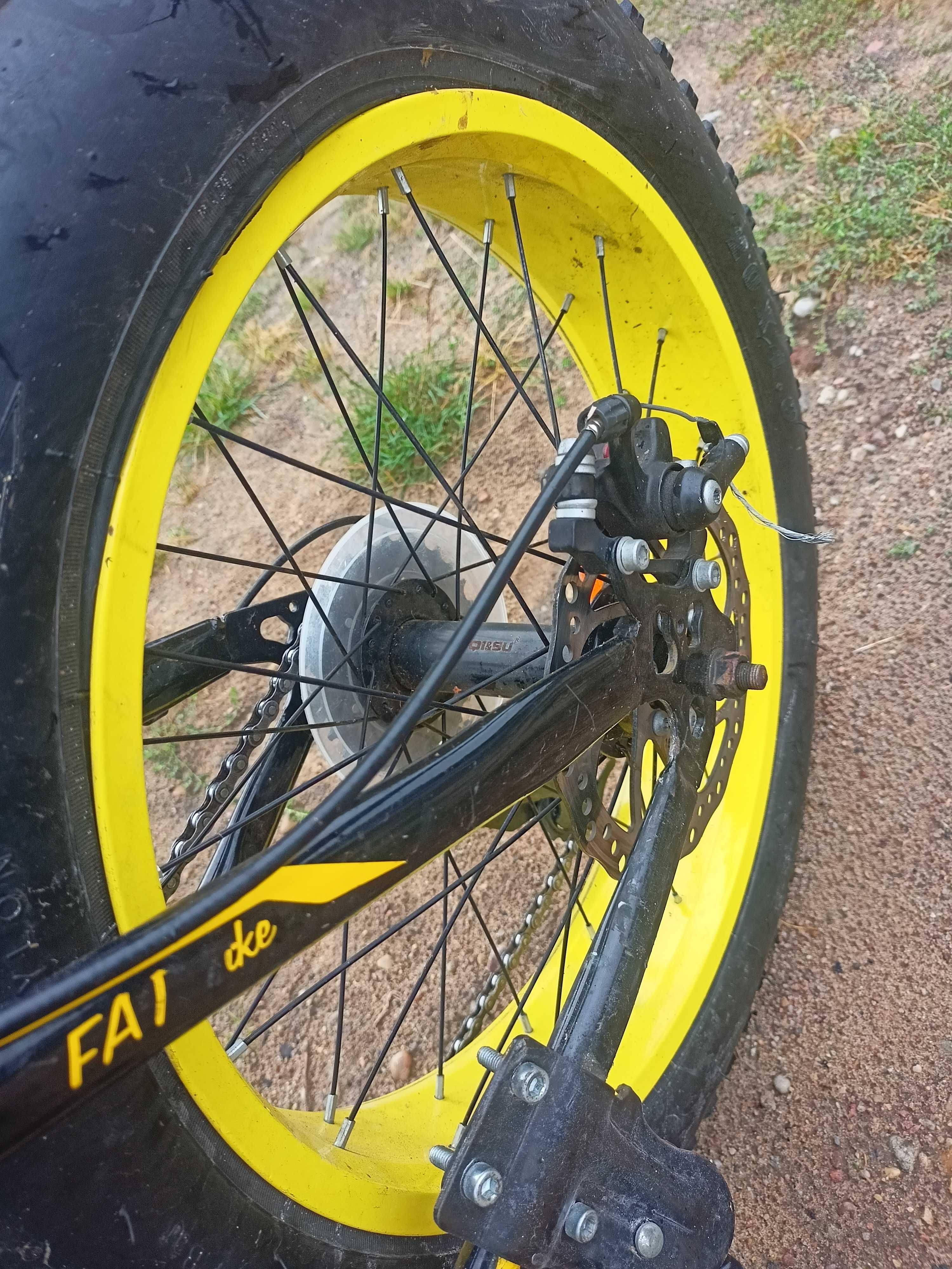 Rower Indiana fat bike