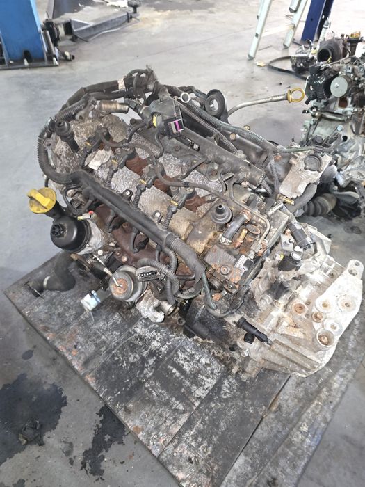 Motor Fiat Punto