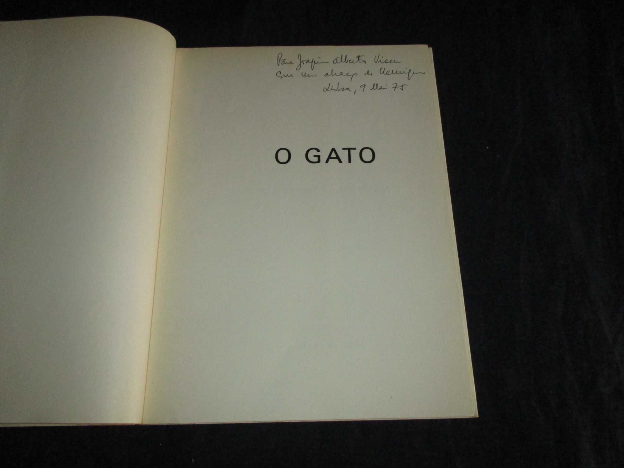 Livro O Gato O Acidente! móbil de aço 1974 Autografado