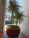 Floreira/Vaso Decorativo