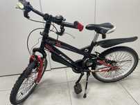 Rower holenderski Trial Alpina
