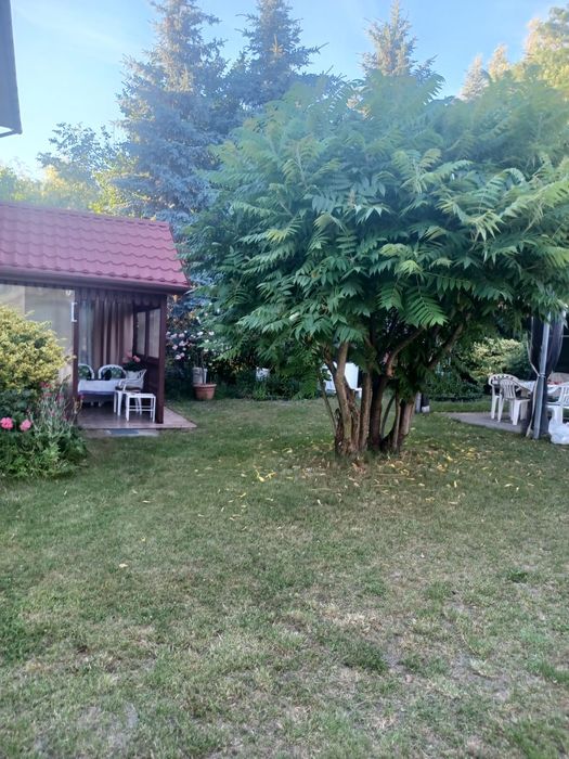 Dom 210m2 z Hektarem Lasu,Garażami,budynkami gospodarczymi