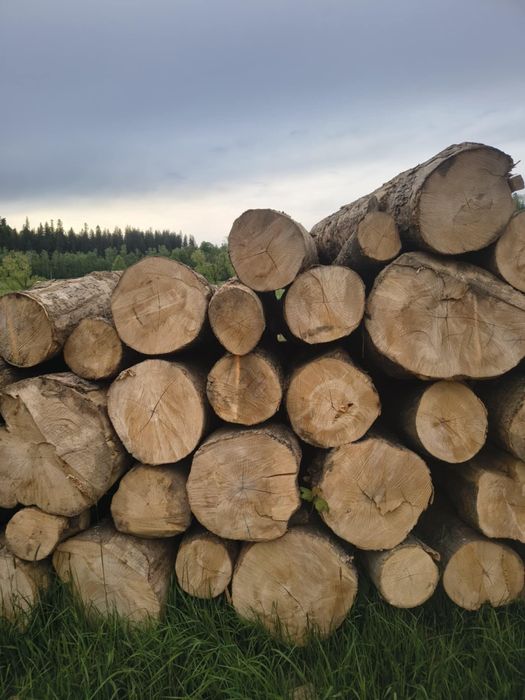 Drewno opałowe kominkowe buk