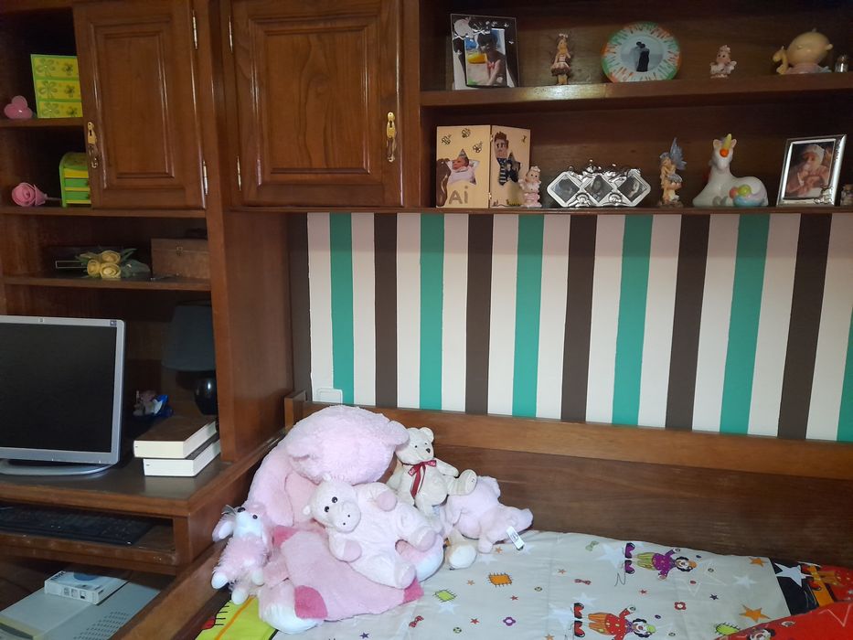 Estudio completo + arca(baú)