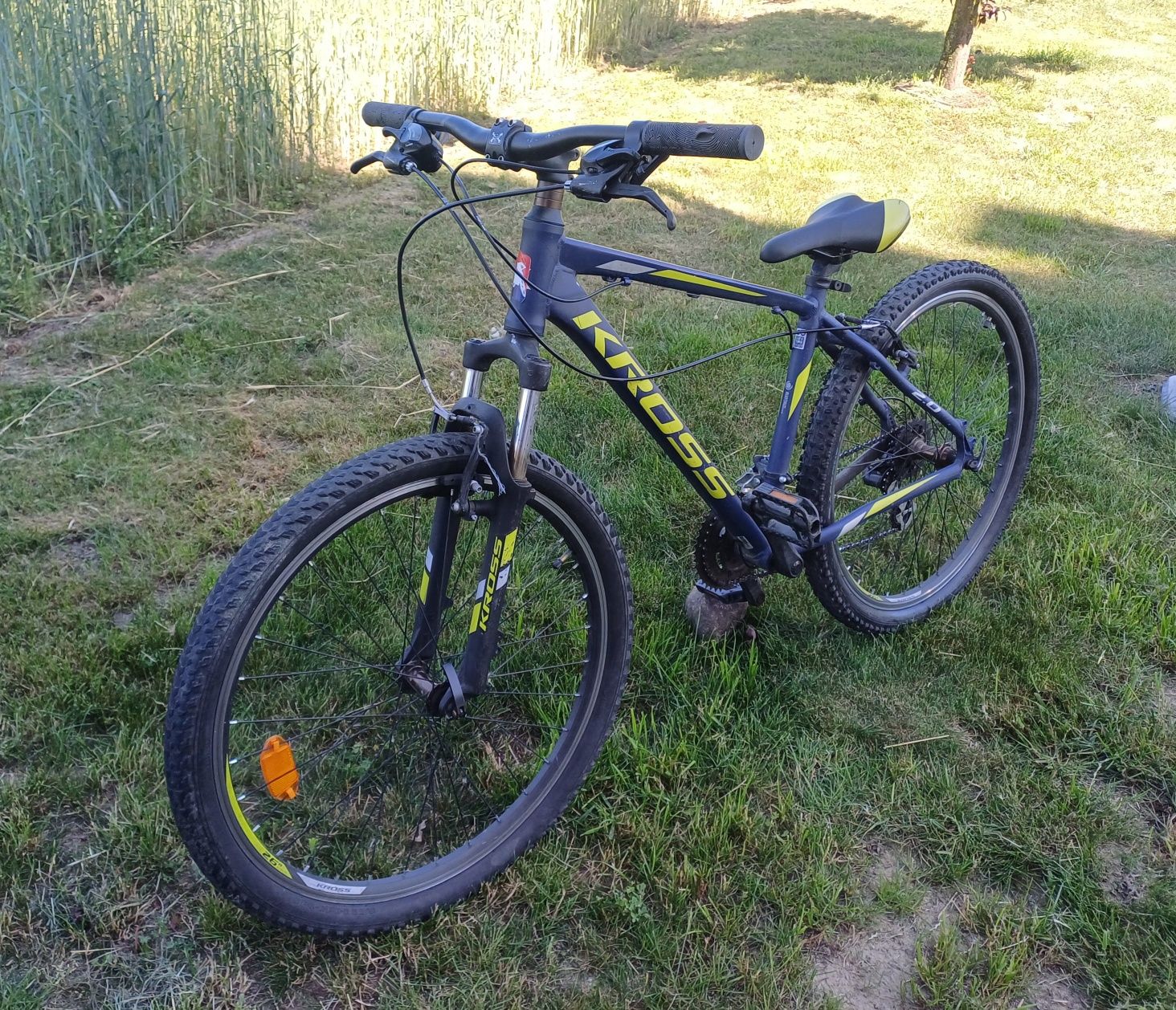Rower Kross Hexagon' 26
