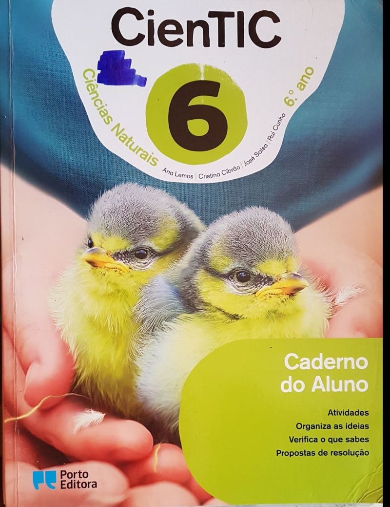 livros escolares 6º ano