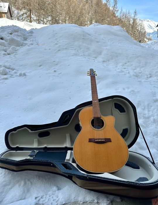 Напівакустична гітара Seagull Artist Mosaic CW Folk Deluxe (Canada)