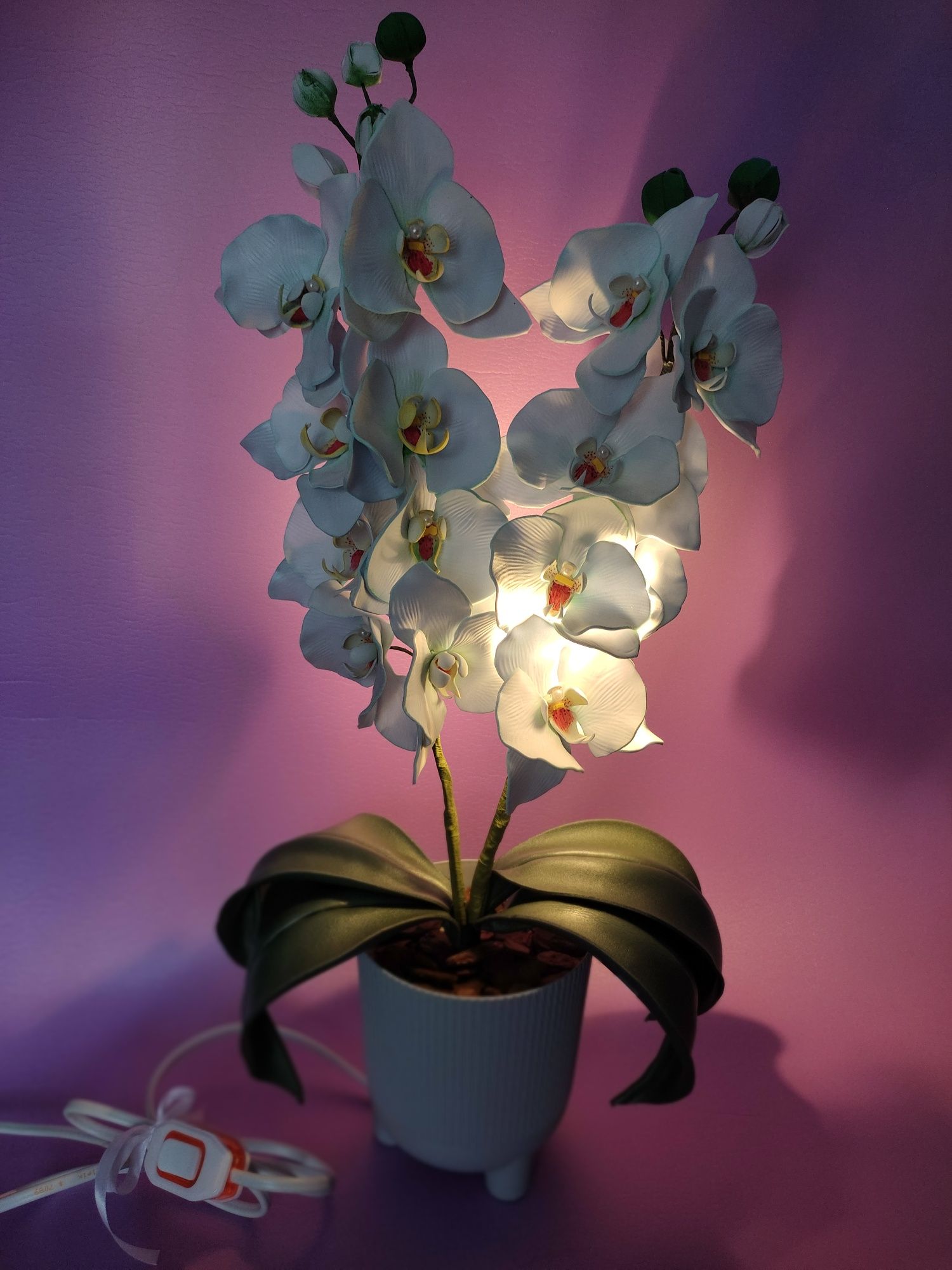 Орхідея світильник, нічник