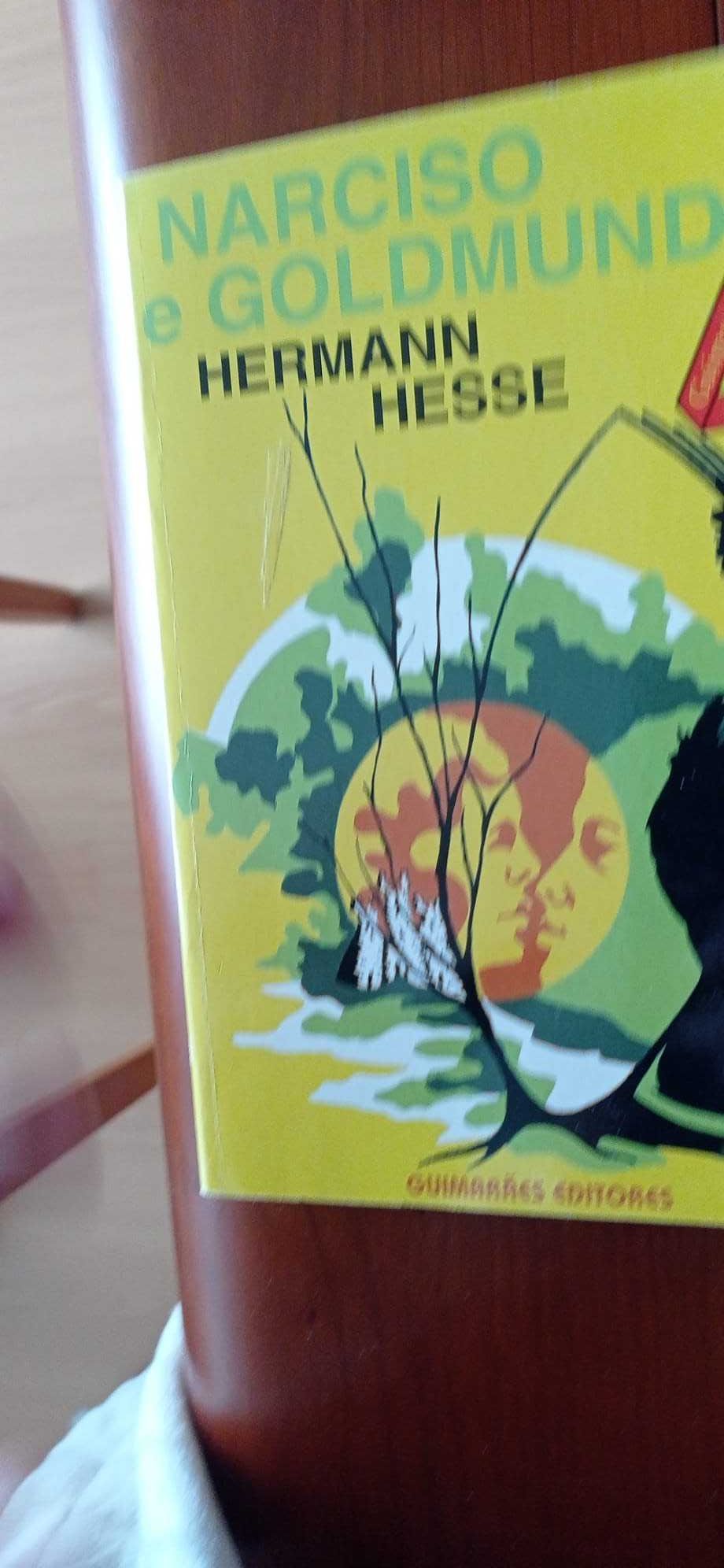 Livros - Herman Hess