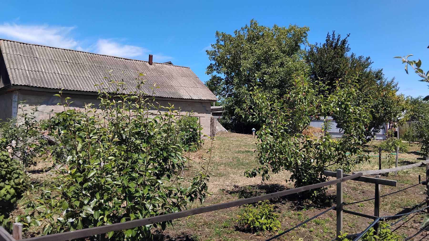 Продаж будинку в селі Слобода по вулиці Небесної сотні