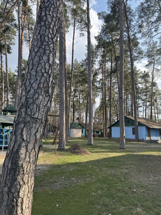 Продам діючу базу відпочинку