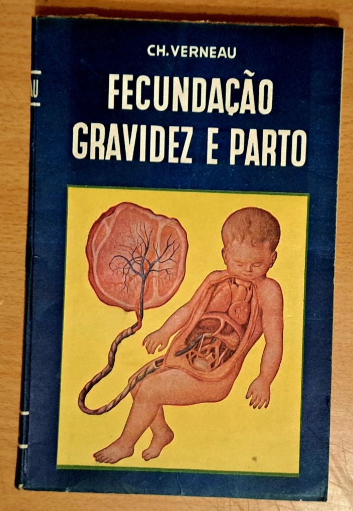 Fecundação, Gravidez e Parto