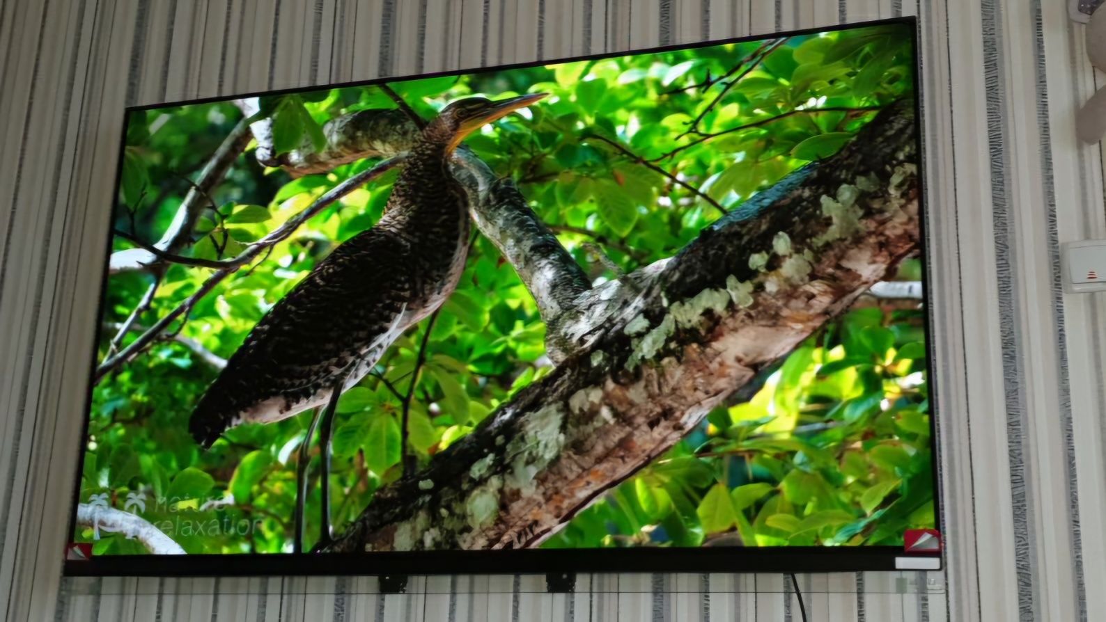 Телевізор LG 65" OLED65E9PLA 4K UHD Smart TV
