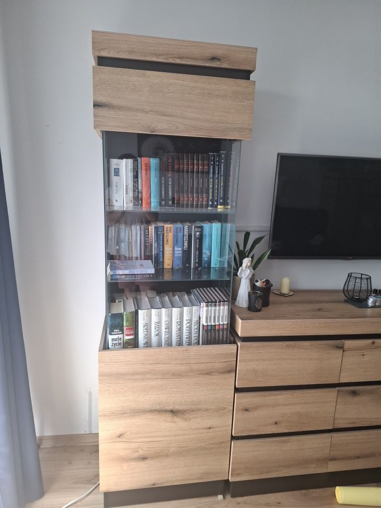 Meble do salonu AGATA