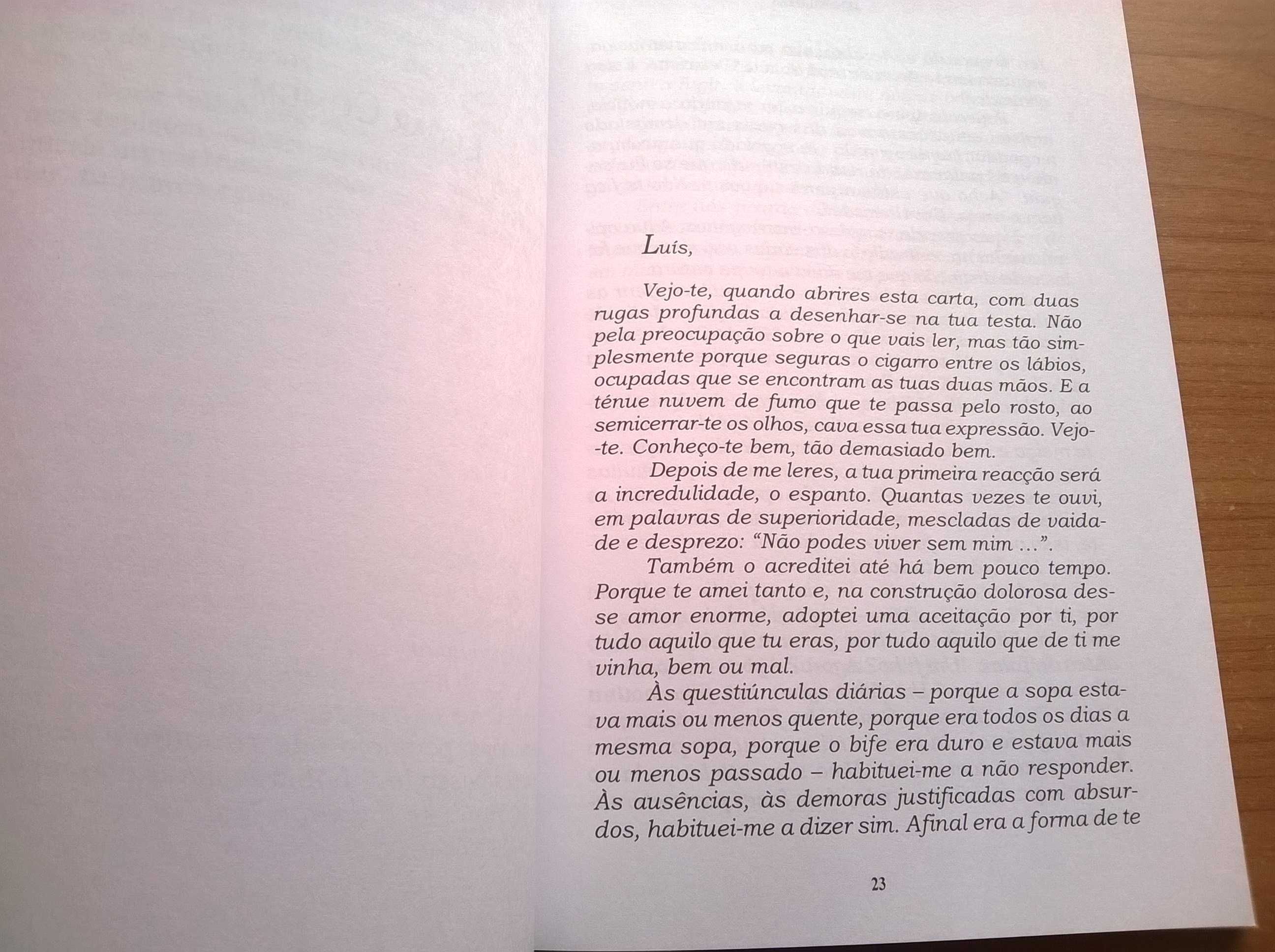 Afluentes (Ficções) - Jenny Lopes